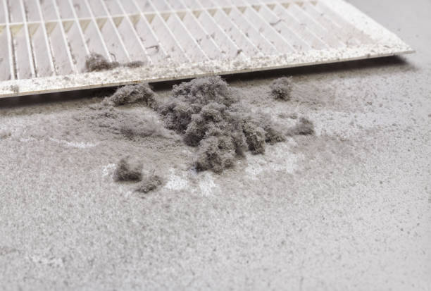 Best Professional Duct Cleaning Services  in Iola, KS