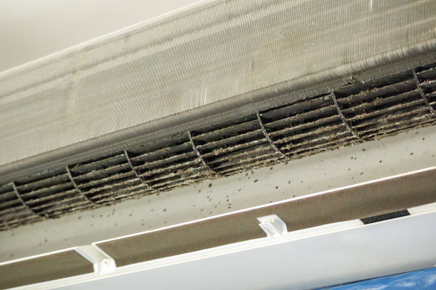 Best Emergency Air Duct Cleaning  in Iola, KS
